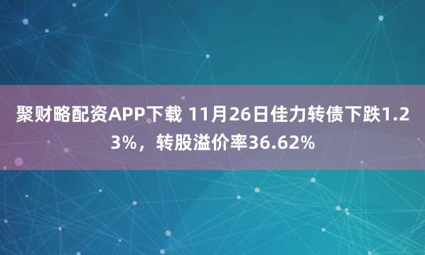 聚财略配资APP下载 11月26日佳力转债下跌1.23%，转股溢价率36.62%