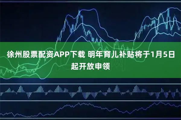 徐州股票配资APP下载 明年育儿补贴将于1月5日起开放申领